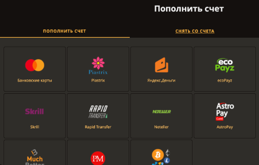Платежные системы в казино Плей Фортуна